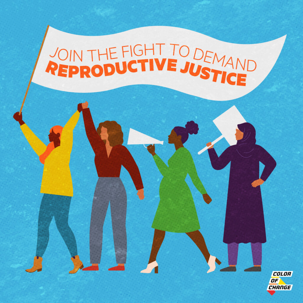 In Our Own Voice – National Black Women's Reproductive Justice Agenda