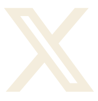 X Icon
